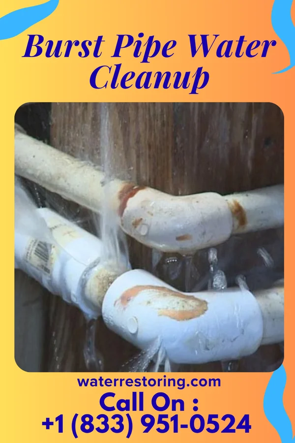 Burst Pipe Water Cleanup in Pocono Mountain Lake Estates, PA