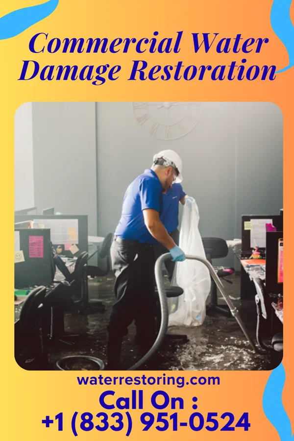 Commercial Water Damage Restoration in Pocono Mountain Lake Estates, PA