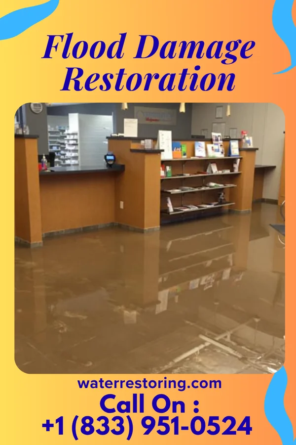 Flood Damage Restoration in Pocono Mountain Lake Estates, PA