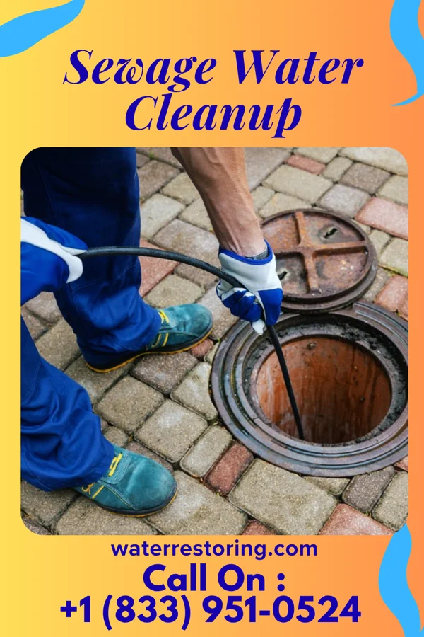 Sewage Water Cleanup in Pocono Mountain Lake Estates, PA